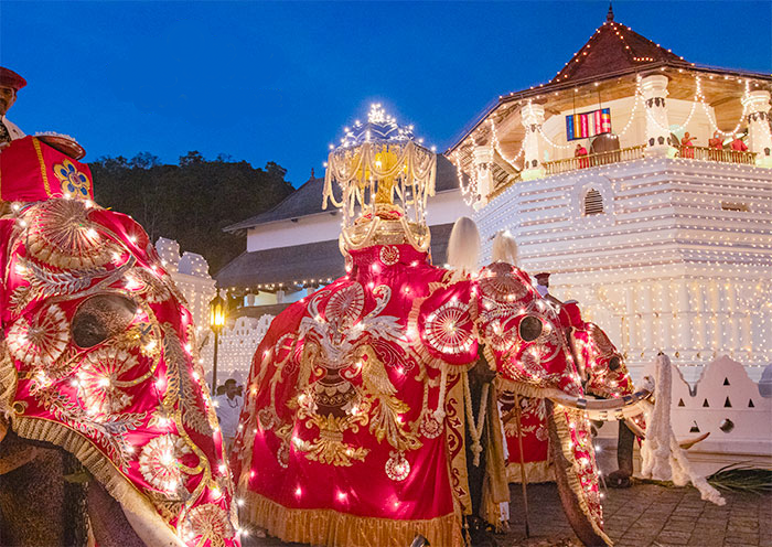 Kandy Esala Perahera & Heritage Journey